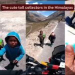 Zanskar Valley: Meet the cutest ‘toll collectors’ in the Himalayas and why Zanskar deserves a spot on every traveller’s bucket list
