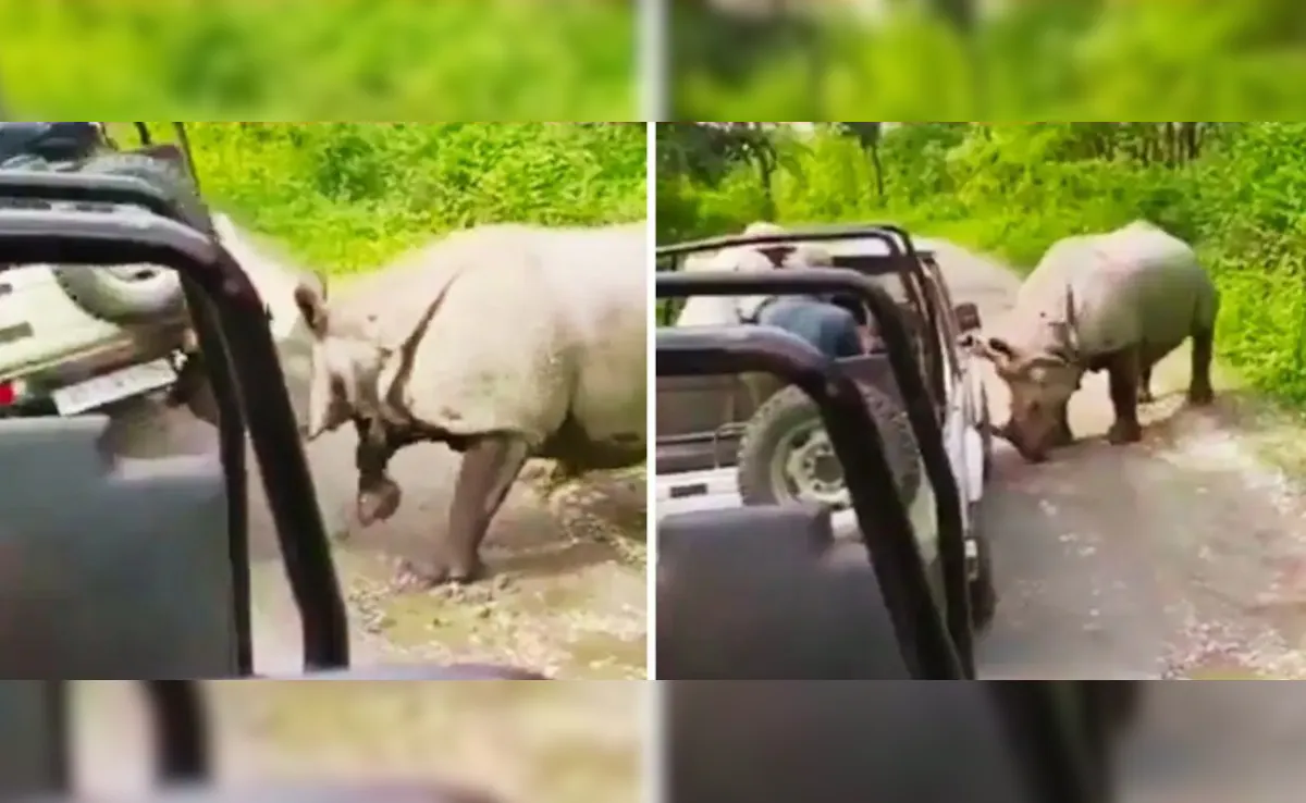 जब भड़के गैंडे ने सींग से उठा दी पर्यटकों की भरी जीप, देखें रोंगटे खड़े करने वाला VIDEO