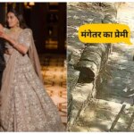 2004 कॉल, 238 घंटे बातचीत.... केतन को धक्का देने वाली सिया और उसके बॉयफ्रेंड को लेकर खुले कई और राज | pune lohagarh ketan murder case revelation about siya and her boyfriend chetan call detail