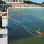 '250-ft gash, poured chemicals': Donald Trump claims vandals damaged Reflecting Pool
