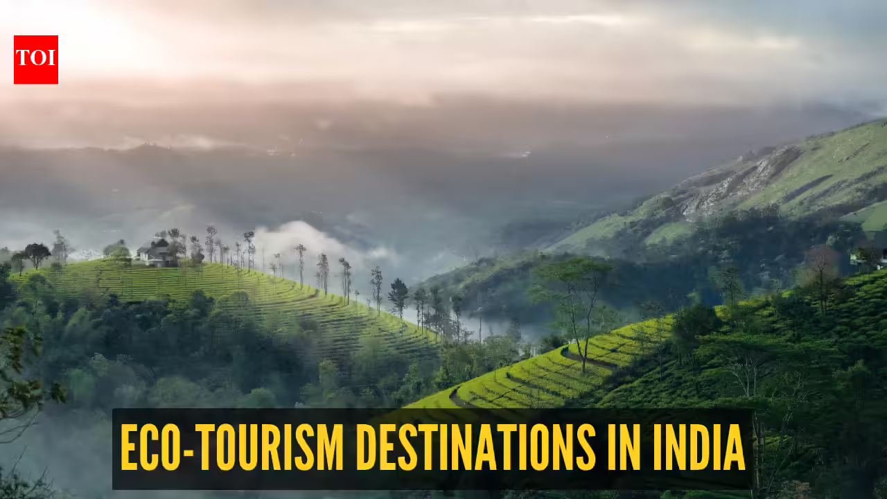 5 eco-tourism destinations in India that are saving nature while welcoming travellers
