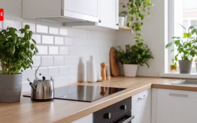 7 best low-maintenance plants for kitchen counters and windowsills