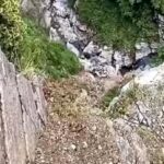 Army officer dies after falling into gorge during anti-terror operation in J&K's Rajouri | India News