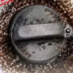 BPCL :E20 petrol attracts ants? BPCL responds to viral claim, explains matter |