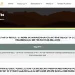 BSF Constable Tradesman 2025 result declared at bsf.gov.in, 1.81 lakh shortlisted for second phase written test: Download PDF here