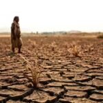 El Niño impact: Centre identifies 197 'most vulnerable' districts, readies contingency plan | India News