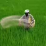 Fertiliser ministry seeks doubling of Rs 1.71 lakh crore FY27 subsidy allocation