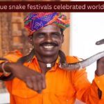 From Python Festival to Nag Panchami; 7 unique snake festivals celebrated around the world and what travellers need to know