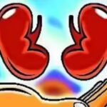 Hospitals told to make public their kidney transplant success rate | India News