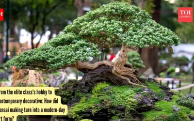 How did bonsai making turn into a modern-day art form?