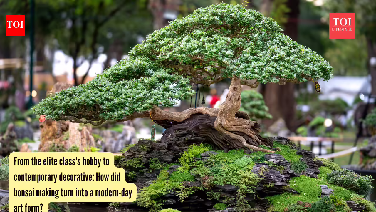 How did bonsai making turn into a modern-day art form?
