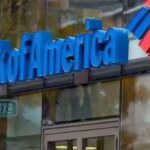 Interest in India strong despite volatility: Bank of America chief