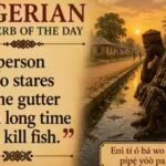 Nigerian proverb of the day: "A person who stares at the gutter for a long time will kill fish" and a lesson in patience, persistence and reward | World News