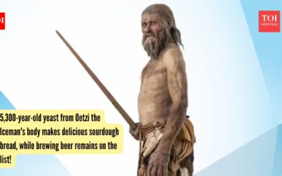 Oetzi The Iceman: 5,300-year-old yeast from Oetzi the Iceman's body makes delicious sourdough bread, while brewing beer remains on the list!