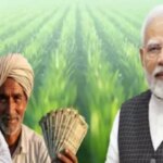 PM Kisan Samman Nidhi Yojana के लिए नए आवेदन कैसे करें? जानें अपनी पात्रता से लेकर जरूरी डाक्यूमेंट्स तक की हर जानकारी | Pradhan Mantri Kisan Samman Nidhi Scheme How to apply for PM Kisan Yojana know eligibility and process