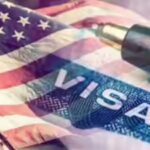 Rs 28 LPA in Bengaluru or $60K per year in US: Indian student on F-1 visa asks which one is wiser to choose