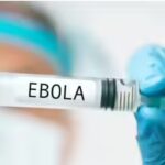 Saudi Arabia imposes travel ban on 3 African countries, halts visas over Ebola concerns | World News