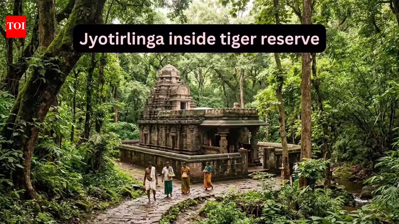 This is the only Jyotirlinga Temple located inside India’s largest tiger reserve; here’s how to reach It