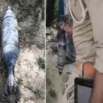 UP News: सड़क किनारे नाले से बरामद हुआ मोर्टार, सवाल-आख‍िर ये आया कहां से? | uttar pradesh kanpur dehat mortar found in drain police investigation