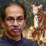 Uddhav Thackeray's show of strength falls flat; only 3 of 9 MPs attend parliamentary meeting despite whip | India News