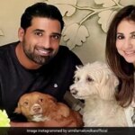 कौन हैं उर्मिता मातोंडकर के एक्स हस्बैंड जिन्होंने तलाक के बाद किया दूसरा निकाह, इंस्टाग्राम पर दिखाया नई बेगम का चेहरा | Urmila matondkar ex husband Mohsin Akhtar 2nd marriage photos with wife 2 year after divorce   