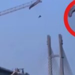 पैराग्लाइडिंग या 'मौत' का खेल, 4 घंटे तक हवा में लटका रहा शख्स, VIDEO देख अटक जाएंगी सांसें | Paraglider Stranded on 200 feet high Crane for 4 Hours in China video Viral