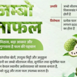 Seoni Jumbo Custard Apple GI Tag: क्यों खास है ये सीताफल
