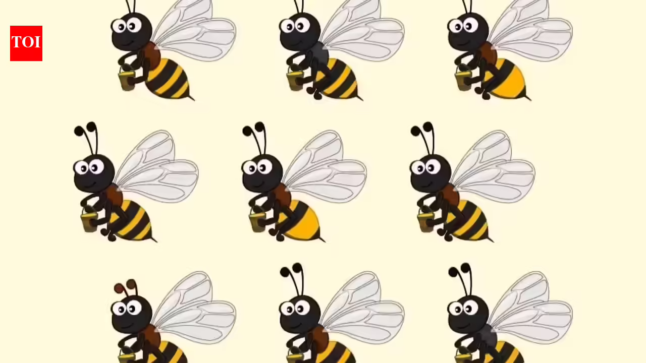 Can you spot the odd bee? This viral brainteaser claims only people with sharp vision can solve it quickly